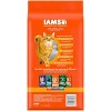 IAMS Proactive Health Chicken Flavor Dry Cat Food - 2 of 4