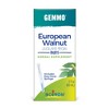 European Walnut, Buds by Boiron Herbal Supplement  -  2 fl oz (60 ml) Liquid - 2 of 4