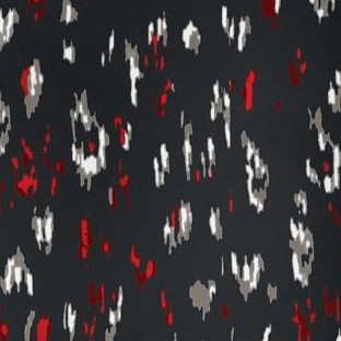 black distress animal