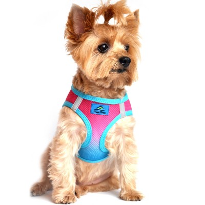 DoggieDesign Hundegeschirr American River Ombre – Choke-free, Größe XX-Small (Brust 22,9-27,9 Cm), Für Kleine Hunde 1,4–2 Kg