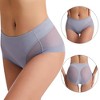 Agnes Orinda Women's Laser Cut Mesh Soft High-Rise Brief Solid Stretchy Underwear - 2 of 4