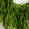 Nearly Natural 6' Pre-Lit Artificial Real Touch Norfolk Island Pine Garland with 35 Warm White LED Lights - 3 of 4