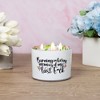 Pavilion Gift Company - My Last - 11 oz - 100% Soy Wax Candle Scent: Tranquility - Flame Candles - 2 of 4