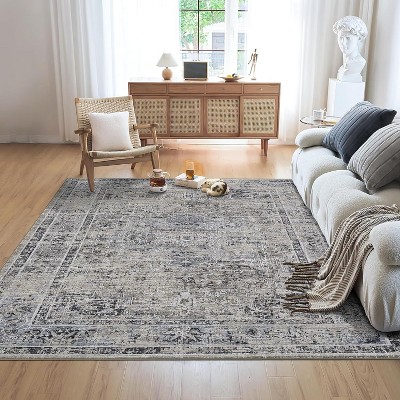 Acekool Abstract Area Rug, Washable Non-Slip Low Pile Carpet for Living Room Bedroom Kitchen, Soft Modern Distressed Accent Rug