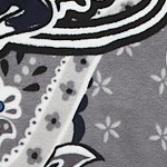 mickey mouse family fun multi