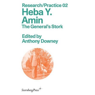 Heba Y. Amin - (Sternberg Press / Research/Practice) by  Anthony Downey (Paperback)