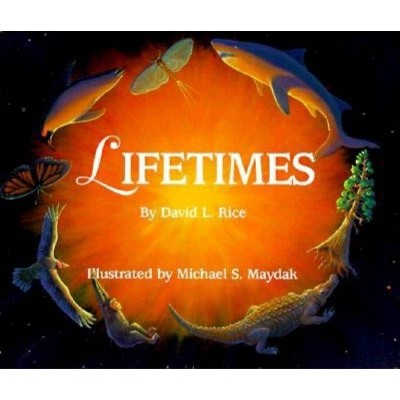 Lifetimes - by  David L Rice (Paperback)