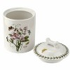 Portmeirion Botanic Garden 7 Inch Treat Jar (Sweet Pea) - 4 of 4