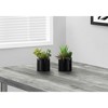 Gulches Series 7 in Artificial Succulent Tree in Glossy Black Pot Green Set of 2 - 2 of 4