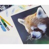Blue Panda 12 Pack Pocket File Folders with 2 Pockets, 6 Wild Animal Designs, A4 Letter Size 9.25 x 12 in - 4 of 4