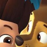 clear push pins bundle