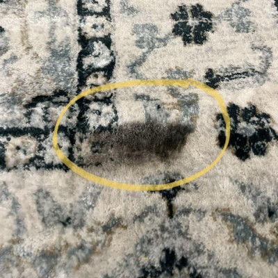 Guest review image 2 of 2, zoom in