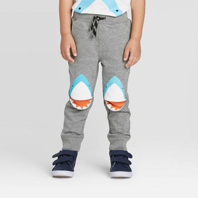 cat and jack toddler boy sweatpants