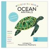 Ingram Publishers Words of the World Board Books - Set of 4 - 4 of 4