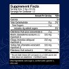Host Defense Elderberry Plus Syrup - Immune & Respiratory Support - 4 fl oz (12 Servings)* - 2 of 4