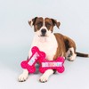 PetShop by Fringe Studio It's My Barkday Dog Plush Toy - 4 of 4