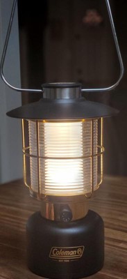 1900 Collection™ 600 Lumen LED Lantern