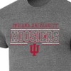 NCAA Indiana Hoosiers Men's Gray Tri-Blend T-Shirt - 3 of 3