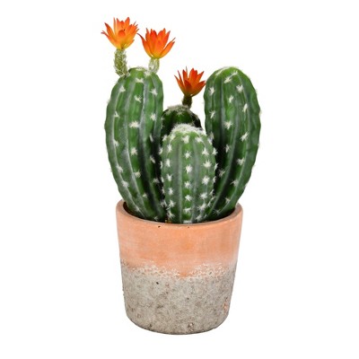 Vickerman 14" Artificial Green Cactus in Clay Pot.