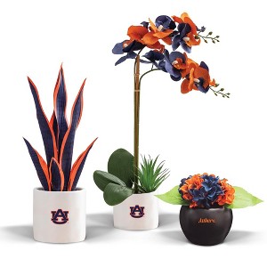 Forever Leaf Auburn Artificial Snake, Orchid and Hydrangea Plants 3-Pack Bundle, Indoor Artificial Plant for Home Decor - 1 of 4