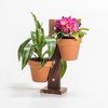 Kalmar Home Solid Acacia 2 Pot Hanging/ Standing Plant Holder - 3 of 4