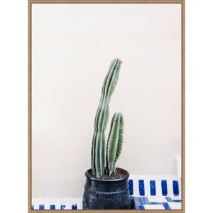 Amanti Art 28"x38" Green Cactus and Blue Pottery in Morocco by Photolovers Framed Canvas Wall Art - 1 of 4