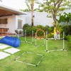 PawHut Dog Agility Equipments, 5 Pieces Obstacle Courses Training Starter Kit with Tunnel, Dog Jump, Hoop, Weave Poles, Pause Box and Easy Carry Case - 3 of 4