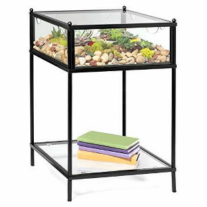 D'Eco Square Terrarium Display End Table w Reinforced Glass in Black Iron - (Dims: 18 x 18 x 27") - Indoor Decor - Great Gift for Plant Lovers - 1 of 1