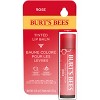 Burt's bees tinted lip balm, daisy blister, 0.15 oz