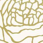 Cream and Gold