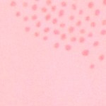 pink orange you the sweetest