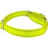 Country Brook Petz Reflective Nylon Martingale Dog Collar - 4 of 4