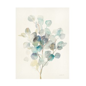 Trademark Fine Art -Danhui Nai 'Eucalyptus III' Canvas Art - 1 of 4