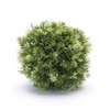 Melrose Foliage Half Orb (Set of 2) - 2 of 2