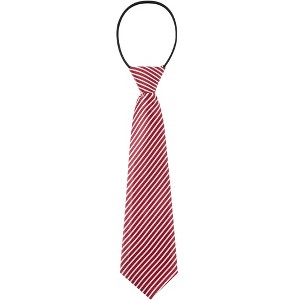 INSPIRE CHIC Pre-tied Elastic Neck Ties - 1 of 4