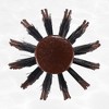 Unique Bargains Nylon Bristle Round Curling Hair Ruled Comb Brown 8.66" - 3 of 4