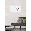 Trends International The Comedy Wildlife Photography Awards: Angela Bohlke - Diving Fox Framed Wall Poster Prints - 2 of 4