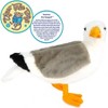 Seamus The Seagull - 12 Inch Stuffed Animal Plush - By Viahart - 2 of 4
