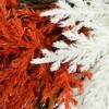 Northlight Fall Harvest Mixed Heather Artificial Grapevine Wreath - 24" - Unlit - 4 of 4