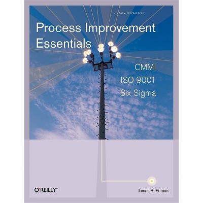 Process Improvement Essentials - by  James Persse (Paperback)
