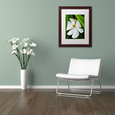 White Magnolia Flower Graphic Art on Canvas with Brown Wood Frame