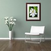 Trademark Fine Art -Kurt Shaffer 'White Magnolia Flower' Matted Framed Art - 3 of 4
