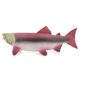 Collectible Wildlife Gifts | Fish, Coho, Silver Salmon, Spawning, Salmonidae, Museum Quality, Hand Painted, Rubber, Toy, Gift,   6 1/2" CH669 BB170 - 1 of 4