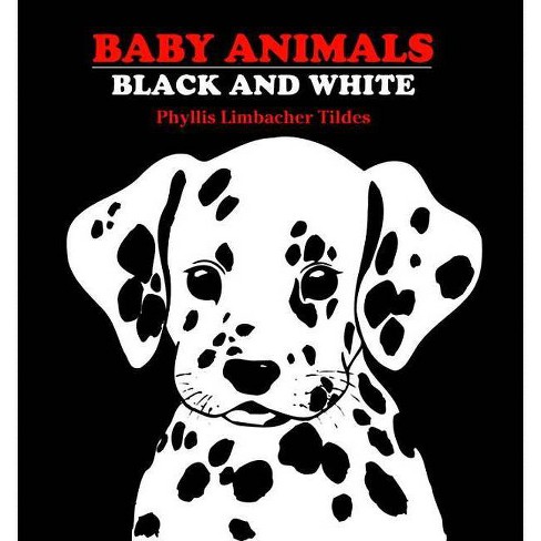 Hello, Baby Animals - (High-Contrast Books) by Duopress Labs (Board Book)