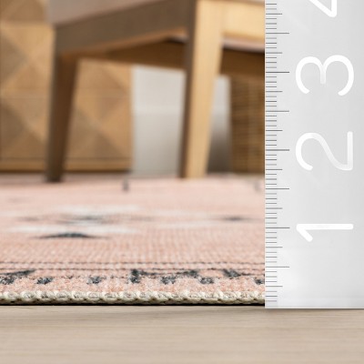 Evalyn Pink Southwestern Washable Synthetic Area Rug 3' x 5'