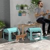 39" Portable Soft Sided Double Cat Carrier with Divider,Removable Crates,Cushions,Foldable Travel Pet Bag for 2 Cats–LAOTIES - 3 of 4