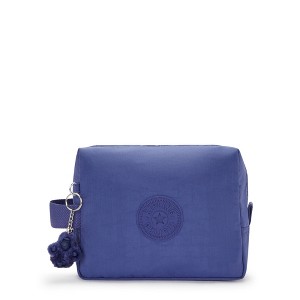 Kipling Parac Small Toiletry Bag - 1 of 4