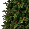 Seasonal LLC Canyon Ranch Fir Artificial Tree 9ft, Pre-Lit 620 Warm White LED Lights, 2264 PE/ PVC Tips - 3 of 4