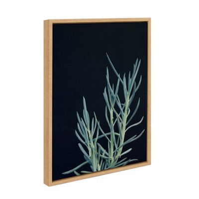 Natural Framed Botanical Succulent Canvas Wall Art, 18x24