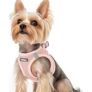 rabbitgoo Small Dog Harness, Step-in Soft Mesh Reflective Pet Harness for Small Sized Dogs, Pink XS - 1 of 1